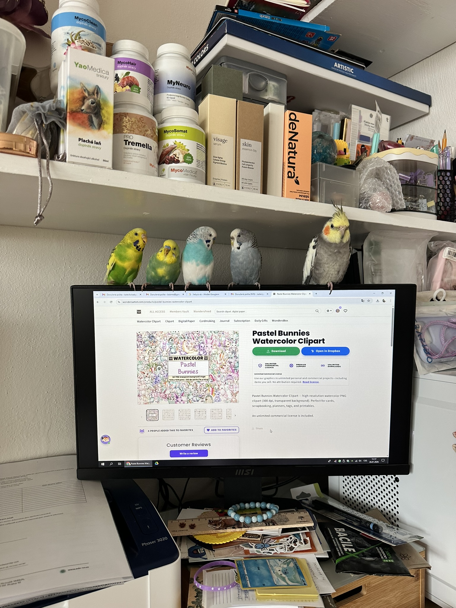 Moje kreativní cesta s CraftNest: Od digitálních clipartů k vlastním produktům