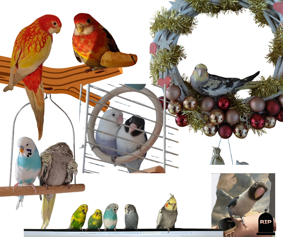 Sny se plní: Někdy hned, jindy si na ně musíme počkat